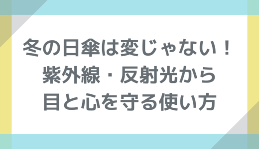 冬の日傘は変じゃない！紫外線・反射光から目と心を守る使い方